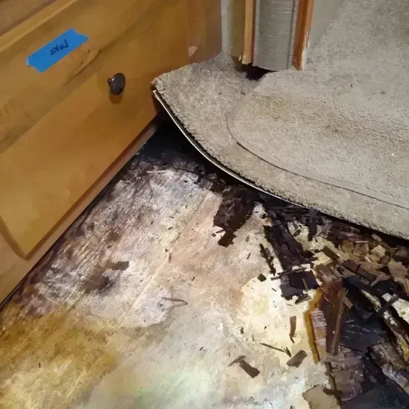 Best Wood Floor Water Damage Service in Morris Plains, NJ